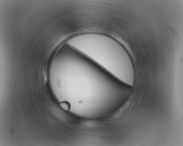 X0000114580062200910191103