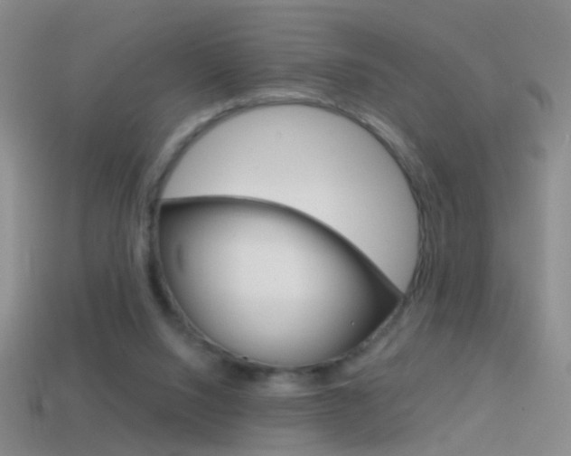 X0000114580064200910191103