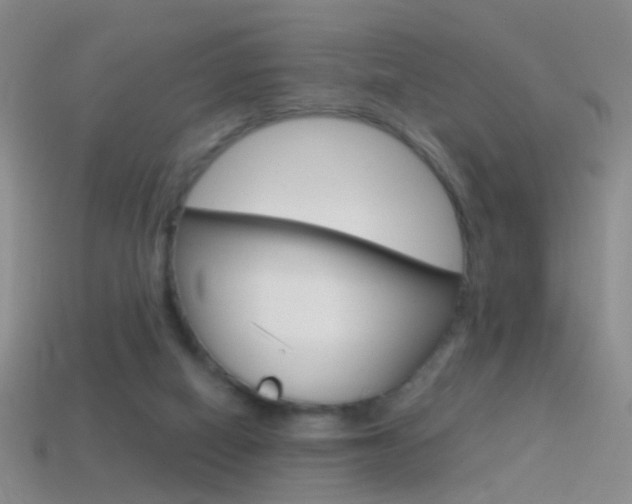 X0000114580066200910191103