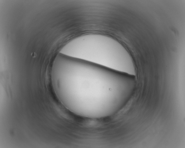 X0000114580074200910191103