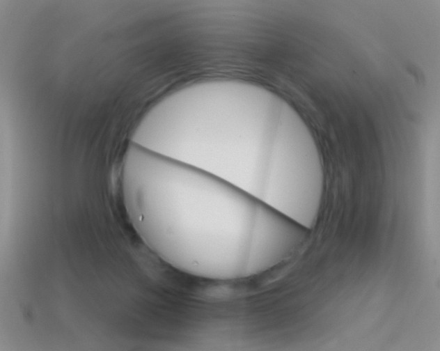 X0000114580075200910191103