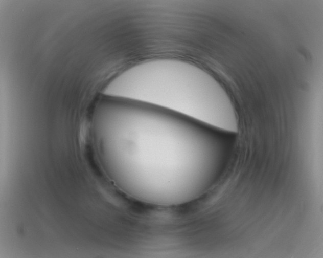 X0000114580076200910191103