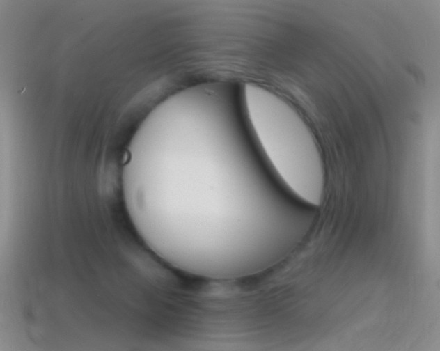 X0000114580077200910191103