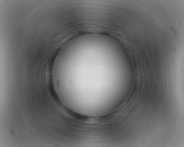 X0000114580080200910191103