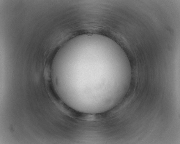 X0000114580083200910191103