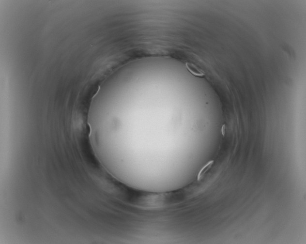 X0000114580084200910191103