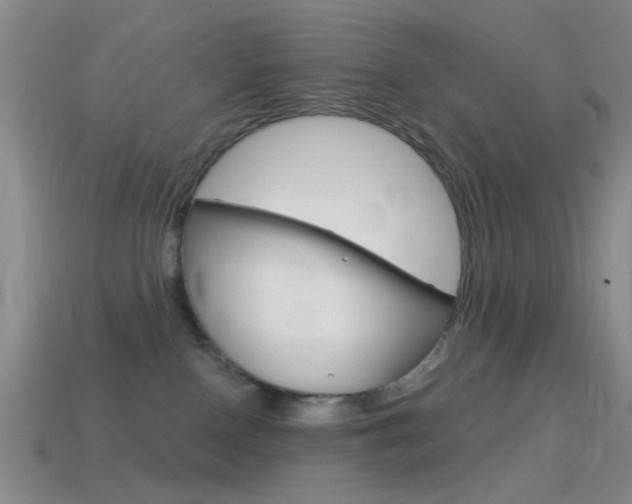 X0000114580090200910191104