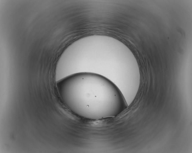 X0000114580092200910191104