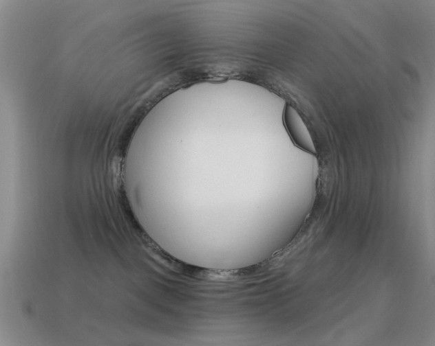 X0000114580093200910191104