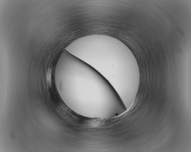 X0000114580094200910191104