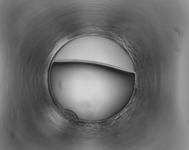 X0000114580099200910191103