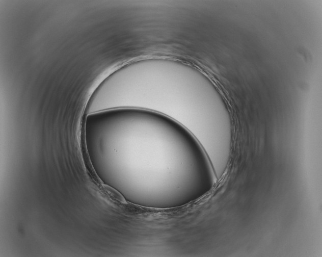 X0000114580100200910191103