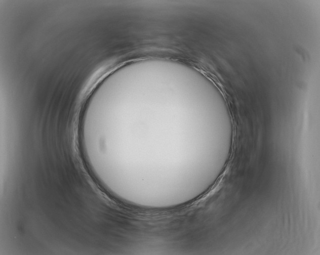 X0000114580101200910191103