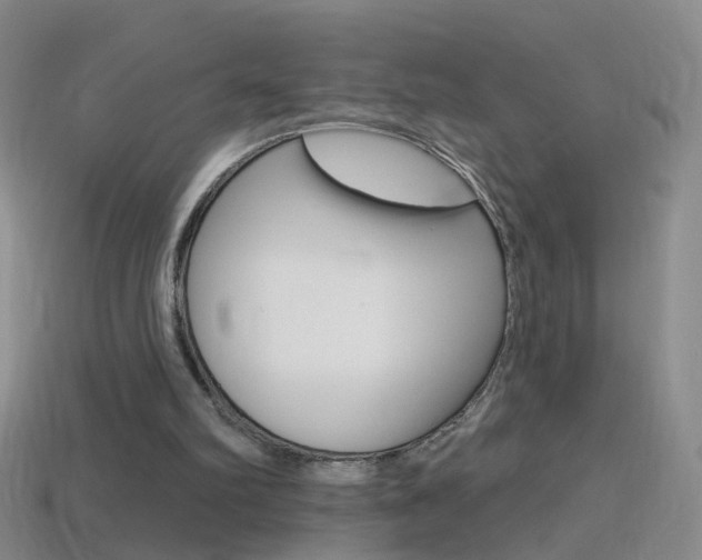 X0000114580102200910191103