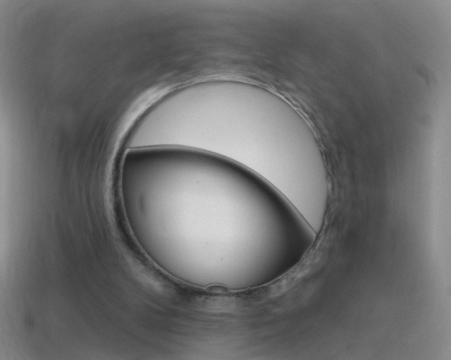 X0000114580104200910191103