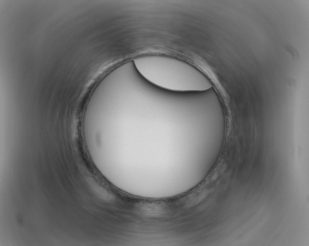 X0000114580106200910191103