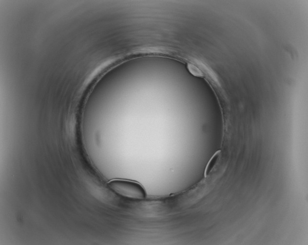 X0000114580108200910191103