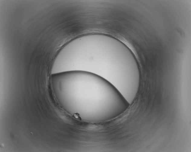 X0000114580109200910191103