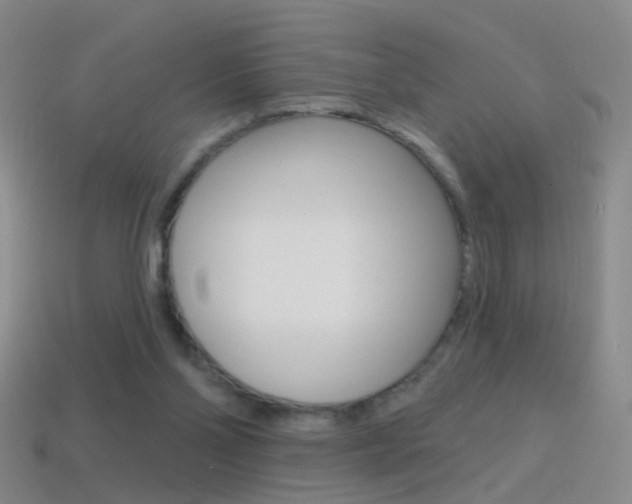 X0000114580110200910191103