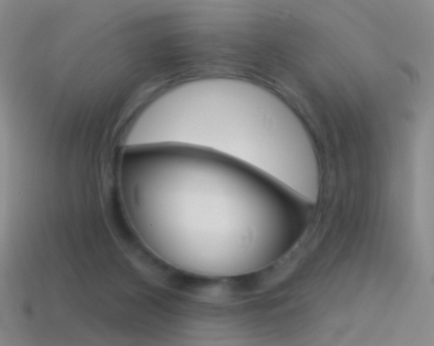 X0000114580116200910191103