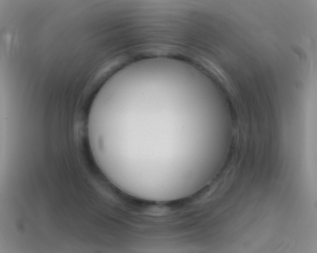 X0000114580119200910191103