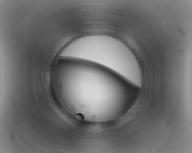 X0000114580120200910191103