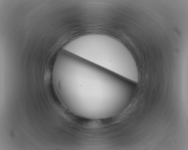 X0000114580124200910191103