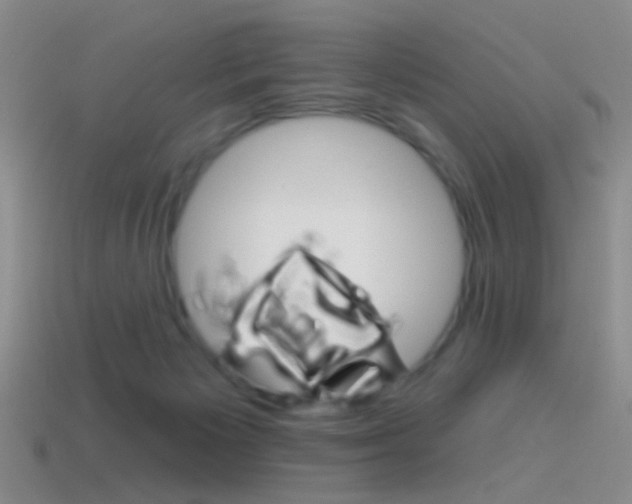 X0000114580125200910191103