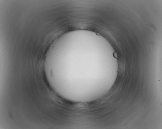 X0000114580126200910191103