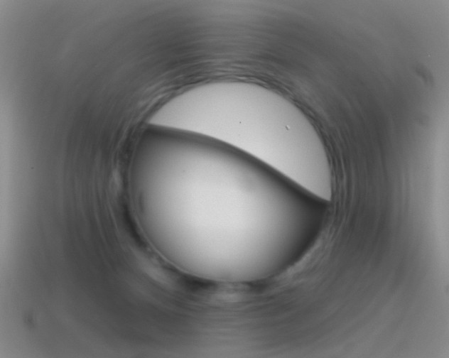 X0000114580128200910191103