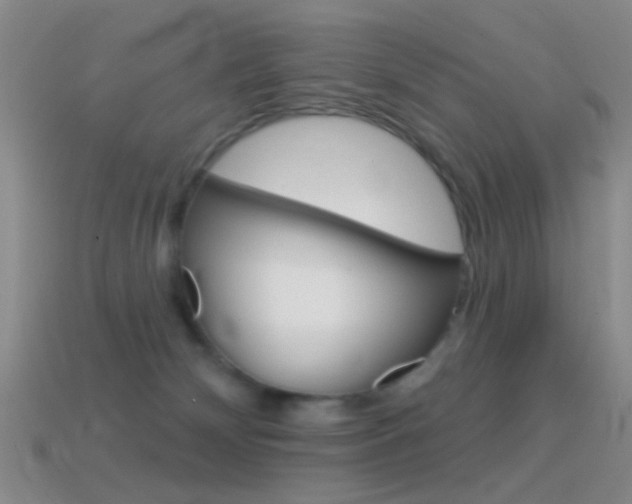 X0000114580132200910191103