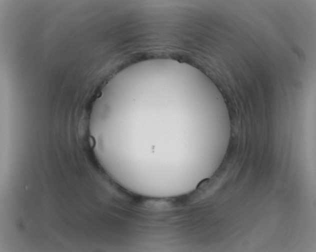 X0000114580133200910191103