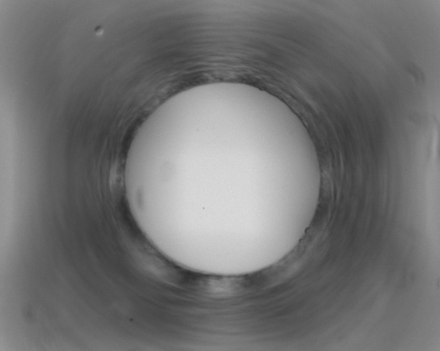 X0000114580134200910191103