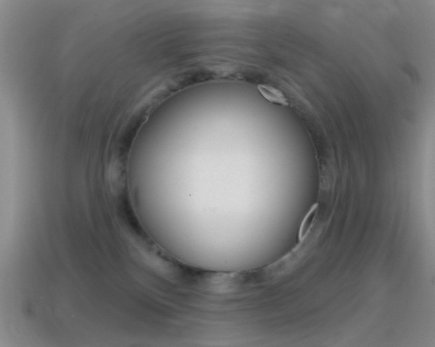 X0000114580136200910191102