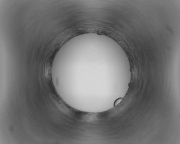 X0000114580138200910191102