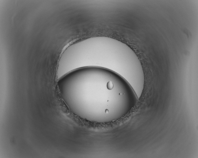 X0000114580144200910191102