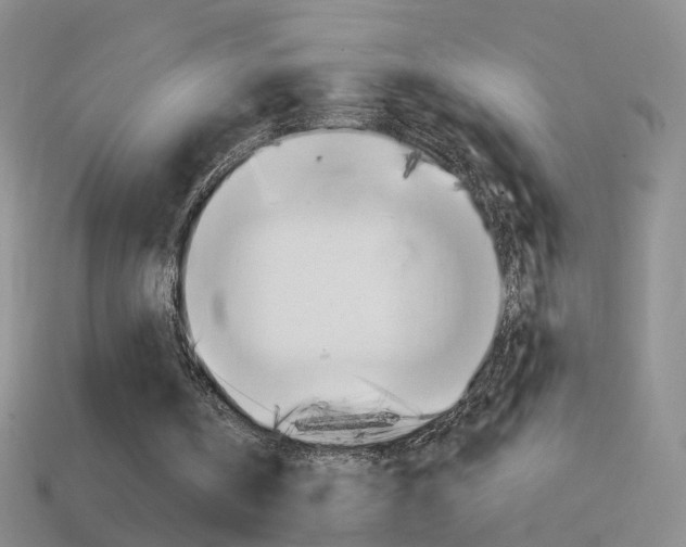 X0000114580146200910191102