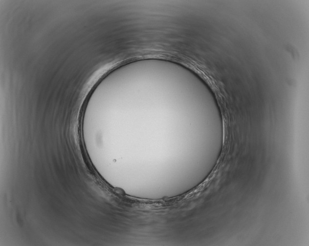 X0000114580147200910191102