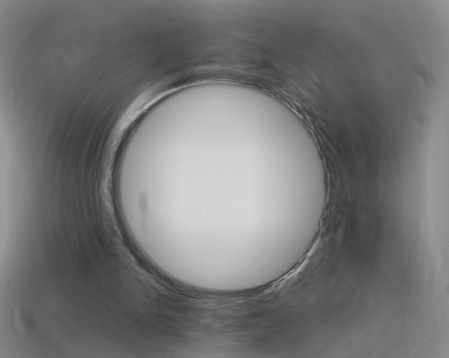 X0000114580150200910191102