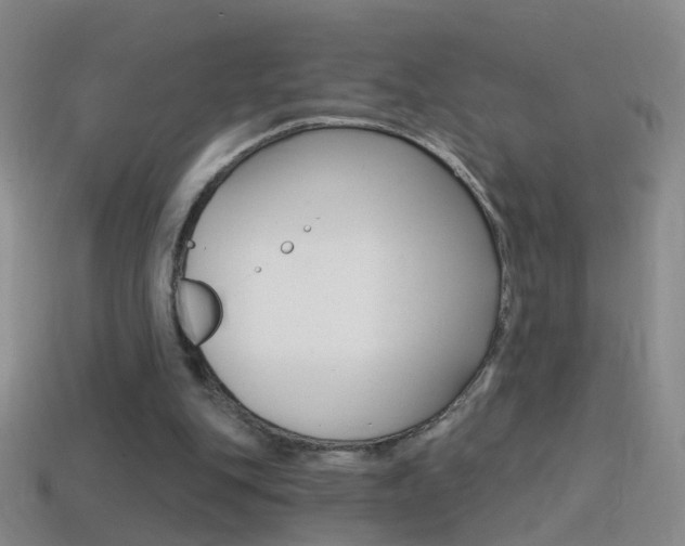 X0000114580151200910191102