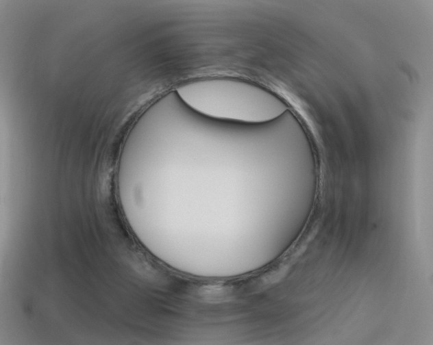 X0000114580153200910191102