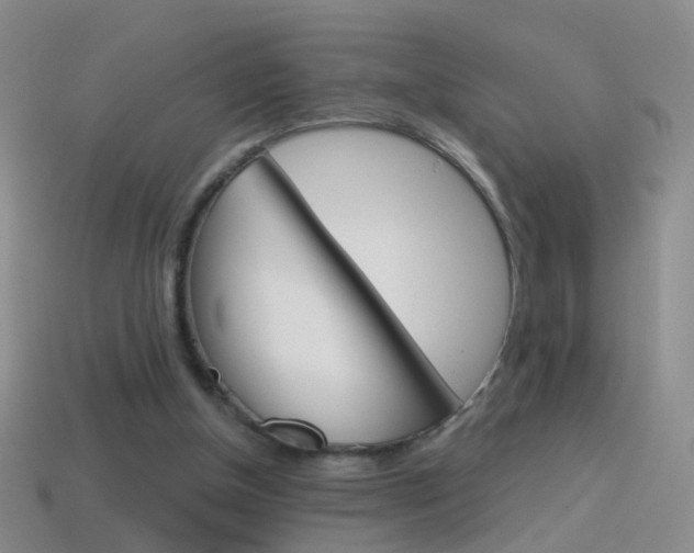 X0000114580154200910191102