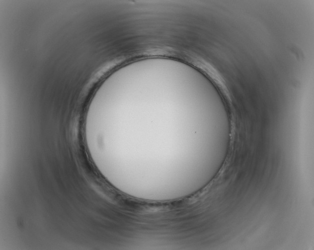 X0000114580155200910191102