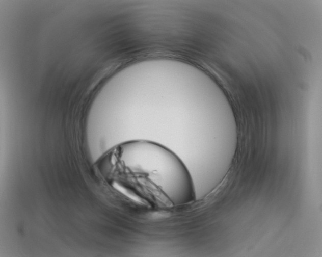 X0000114580158200910191102