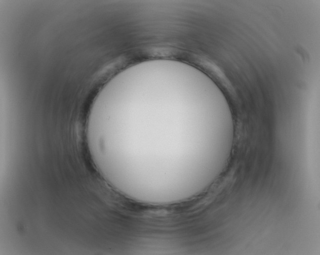 X0000114580161200910191102