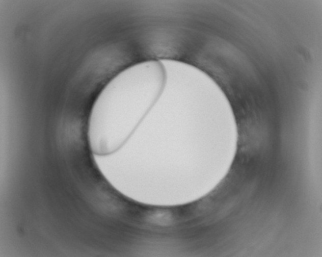 X0000114580162200910191102