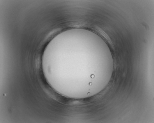 X0000114580163200910191102