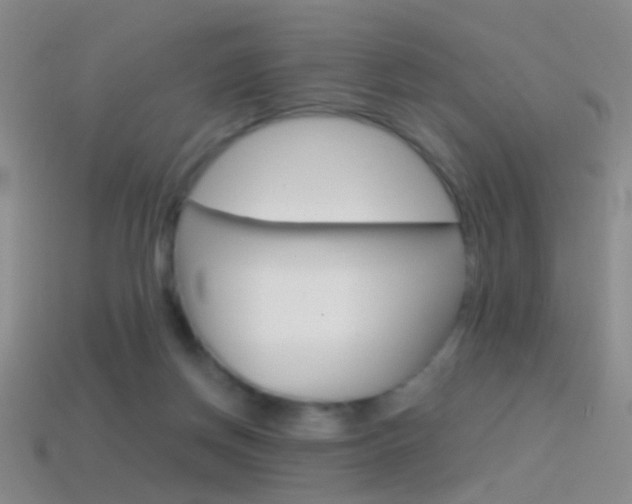 X0000114580166200910191102