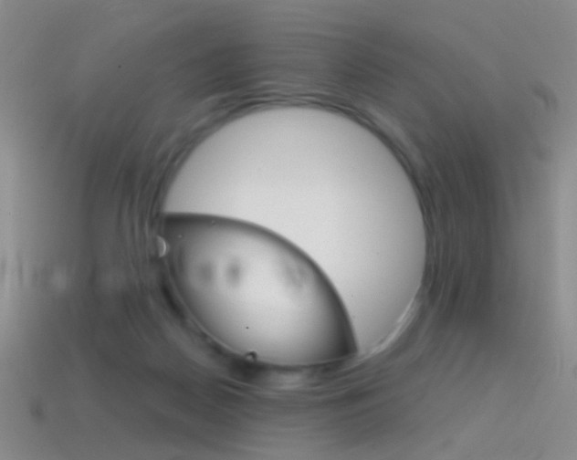 X0000114580170200910191102