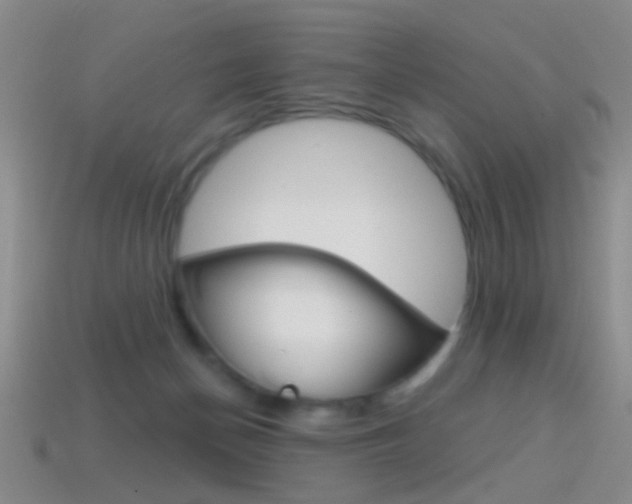 X0000114580174200910191102